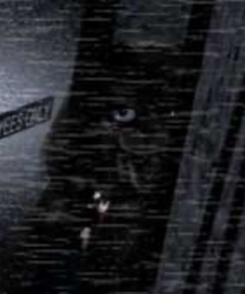 FNaF Hoax Characters
